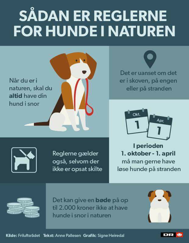 hunde DKK Esbjerg